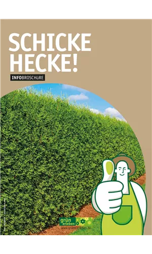 Hecke