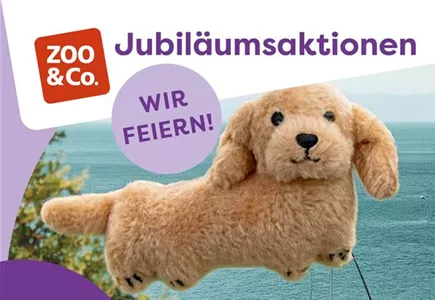 Hier geht es zu unsere Jubiläumsaktionen