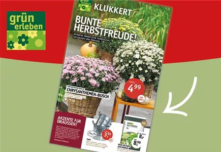 Hier geht es zu unseren Beilagen-Angeboten