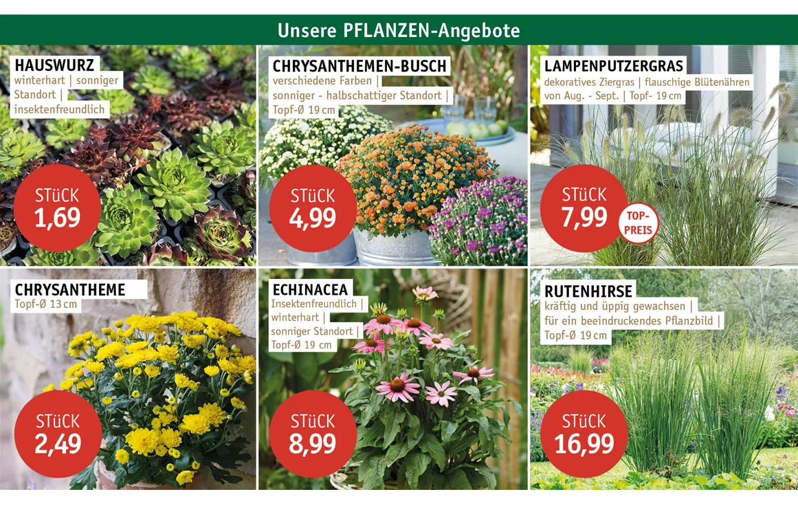 Aktion_Angebote_ANGEBOTE_0926_3.jpg