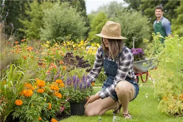 JETZT ZUM SPATEN GREIFEN
