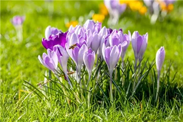 BUNTES OSTERFEST MIT FRüHLINGSBOTEN!