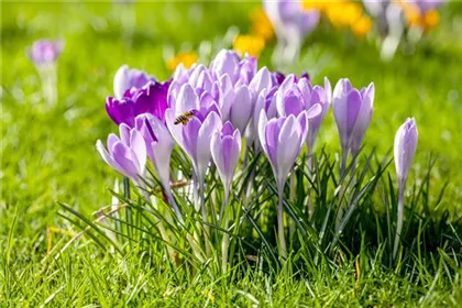 BUNTES OSTERFEST MIT FRüHLINGSBOTEN!