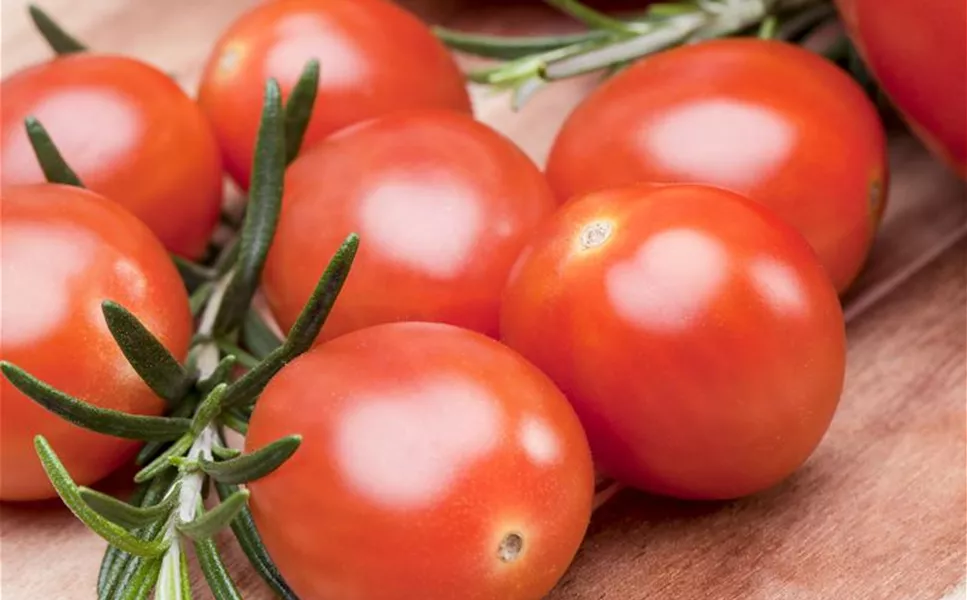 Gemüse - Leckereine aus dem Garten!