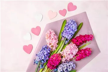 BLUMIGER VALENTINSTAG!