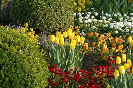 Eine Tüte voll Frühling