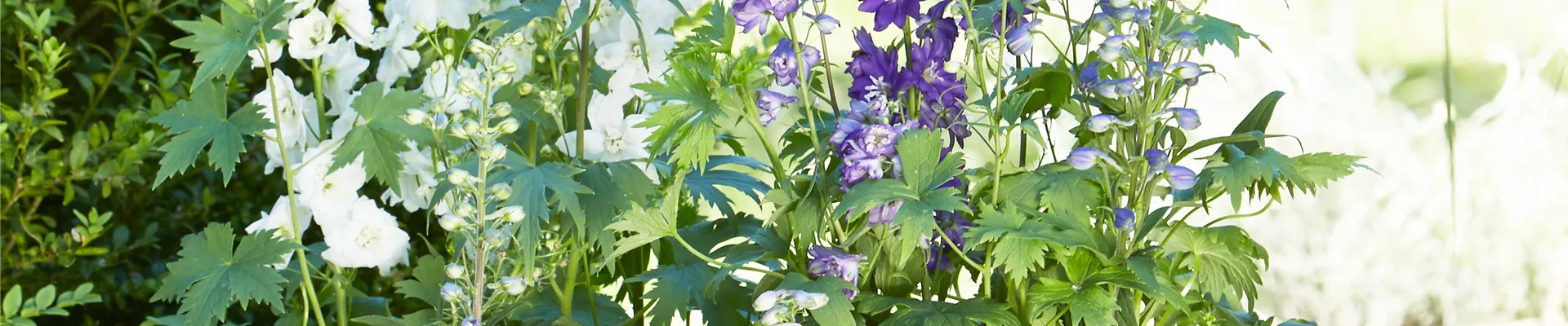 URLAUBSFLAIR FÜR ZUHAUSE. 