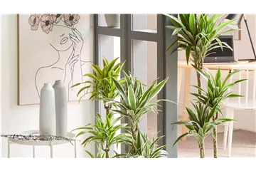 GRÜNES UPDATE FÜR DEIN HOMEOFFICE!