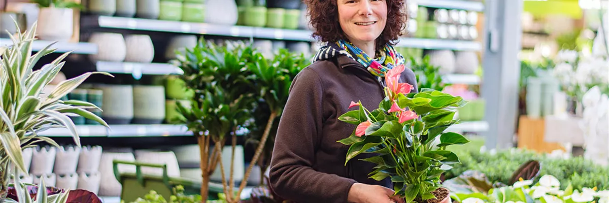 ansprechpartner-gartencenter-klukkert-lingen