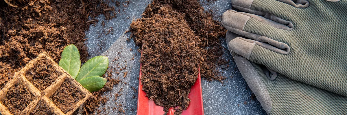 Erde auf Pflanzkelle