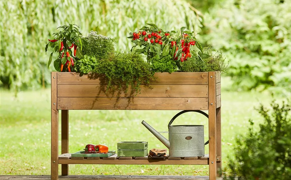 Platzsparend & rückenschonend - Hochbeete