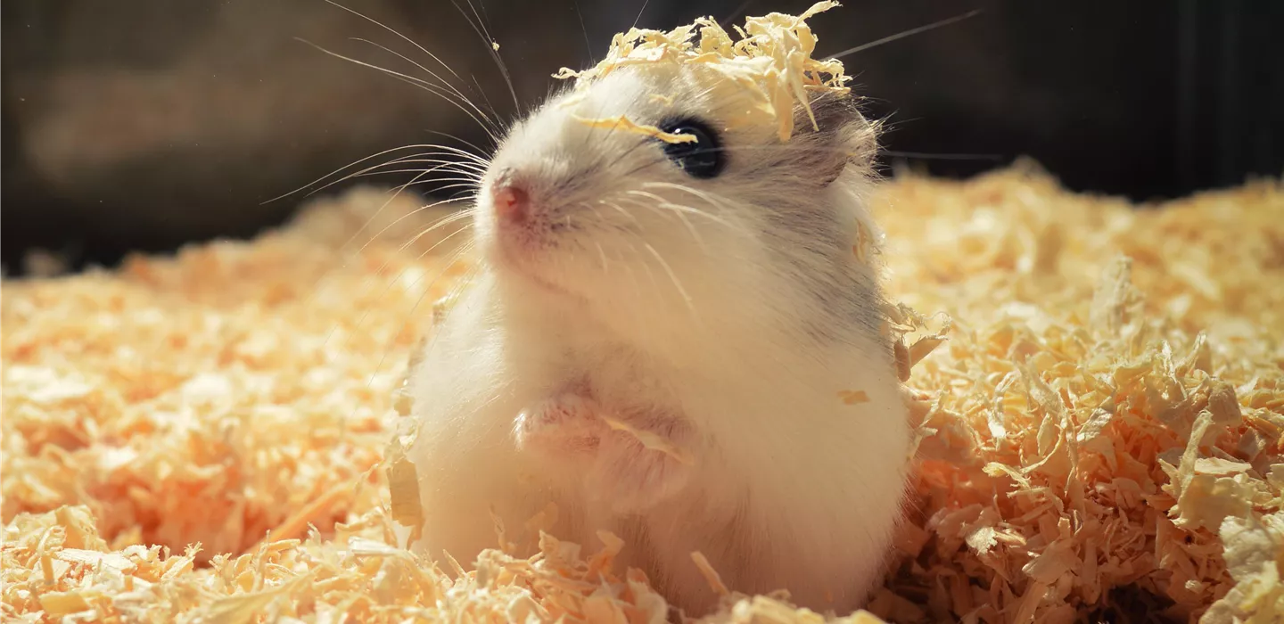 Die Kleinsten gut versorgt - Abteilung Nager & Hobbyfarming