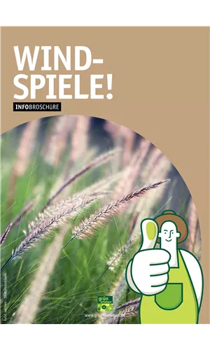 Gräser