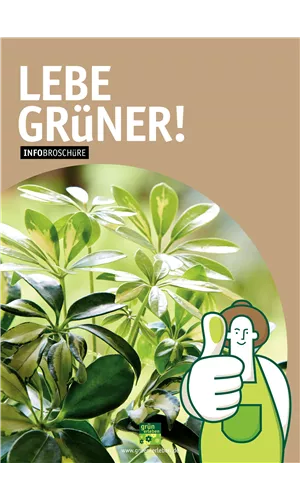 Grünpflanzen