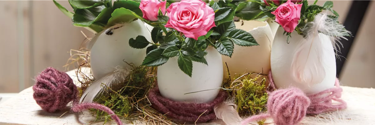 Image_DekoUndWohnen_01_23_1930x500px