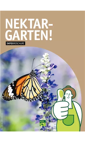 Insekten