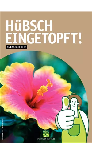 Kübelpflanzen
