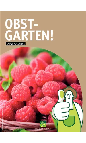 Obst