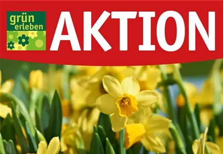 Hier geht es zu unseren Angeboten