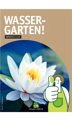 Wasserpflanzen