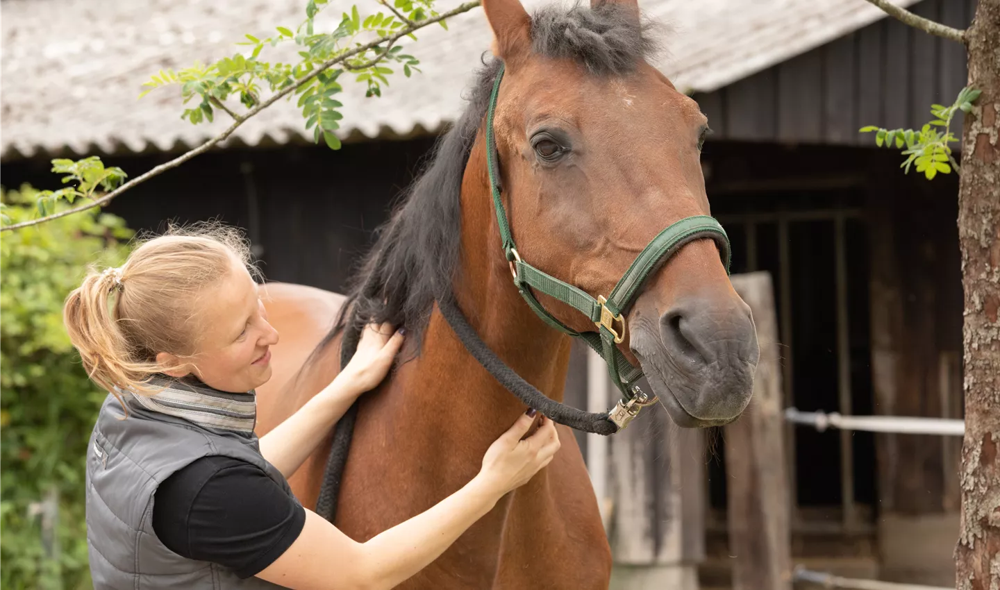Pferd mit Reiterin
