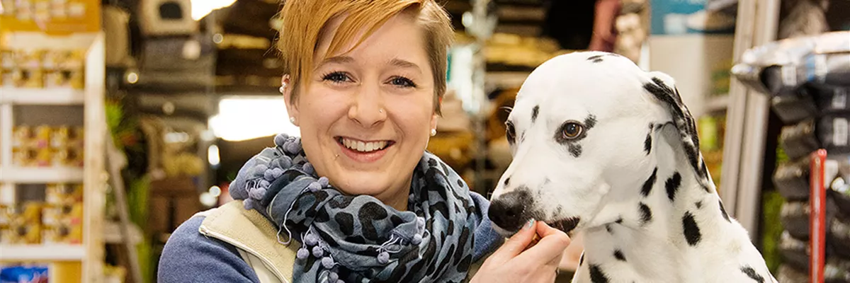 daniela-urban_hund