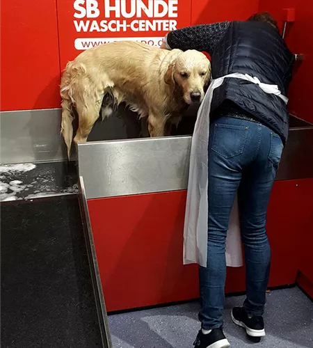 doggy-wash-klukkert-01.jpg