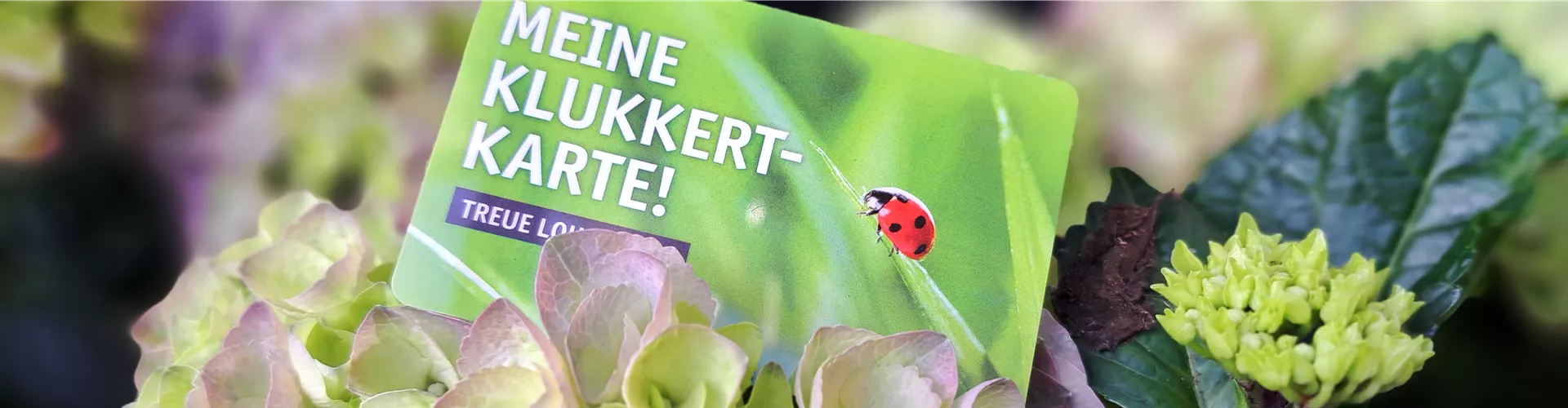 Alternate Text