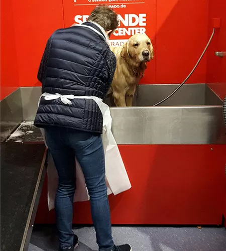 doggy-wash-klukkert-02.jpg