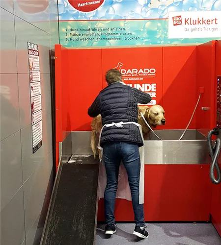 doggy-wash-klukkert-03.jpg