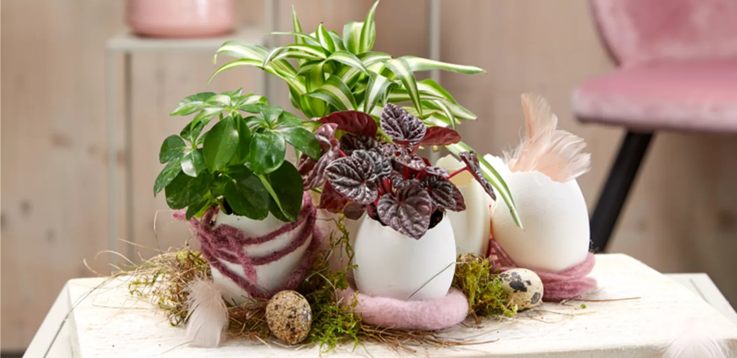 Einfach wohlfühlen - Deko und Wohnen