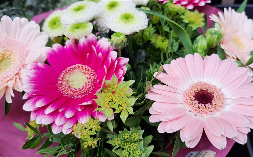 Jeden donnerstag - frisch für euch