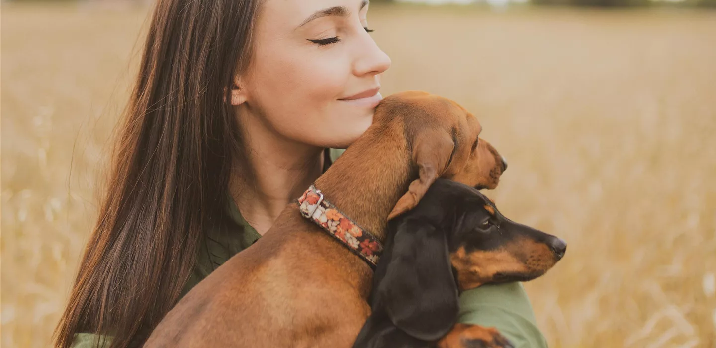 Für aufgeweckte Fellnasen - Abteilung Hunde