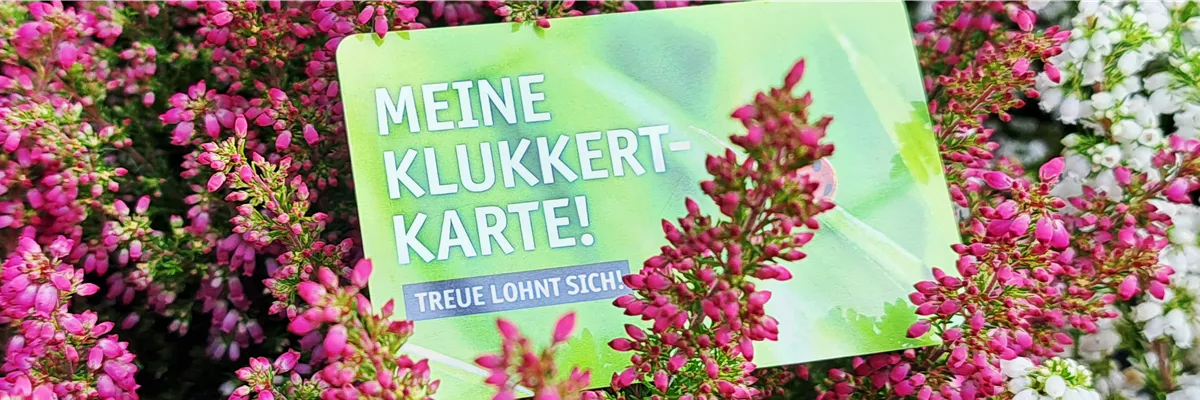 Image_Kundenkarte_Sept24