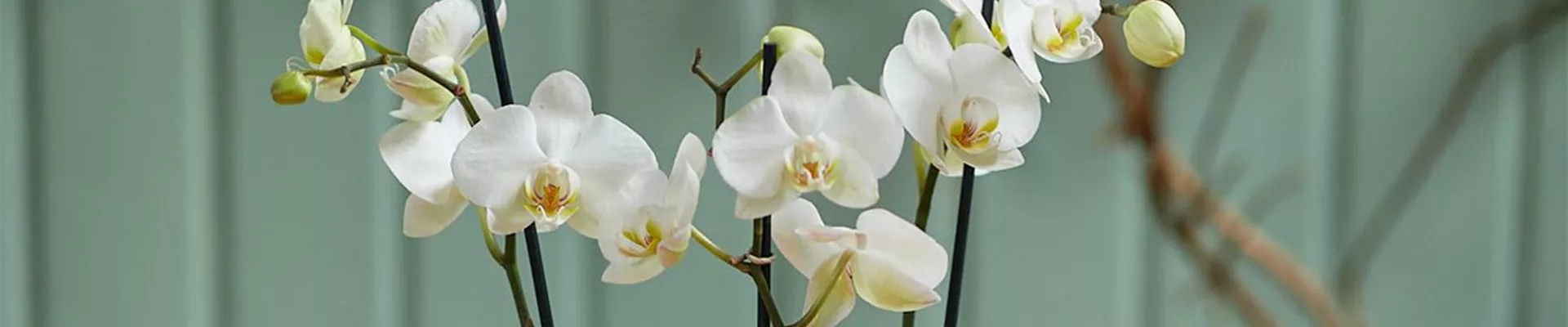 MODERNE WEIHNACHTEN! 