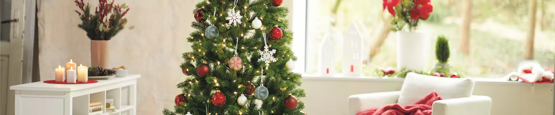 WEIHNACHTSBäUME EINMAL ANDERS!