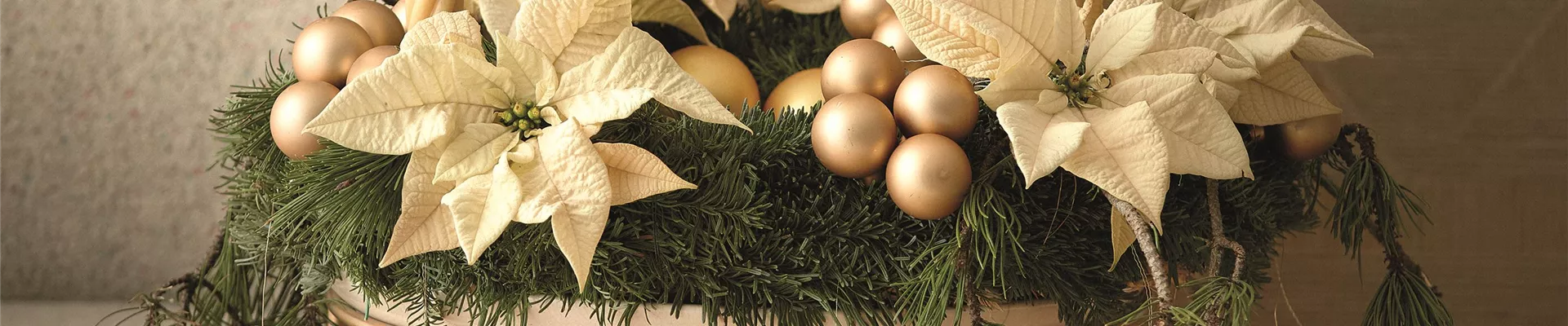 WILLKOMMEN IM FESTZAUBER!