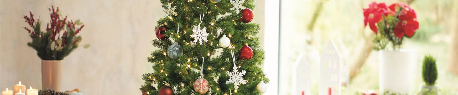 WEIHNACHTSBäUME EINMAL ANDERS!