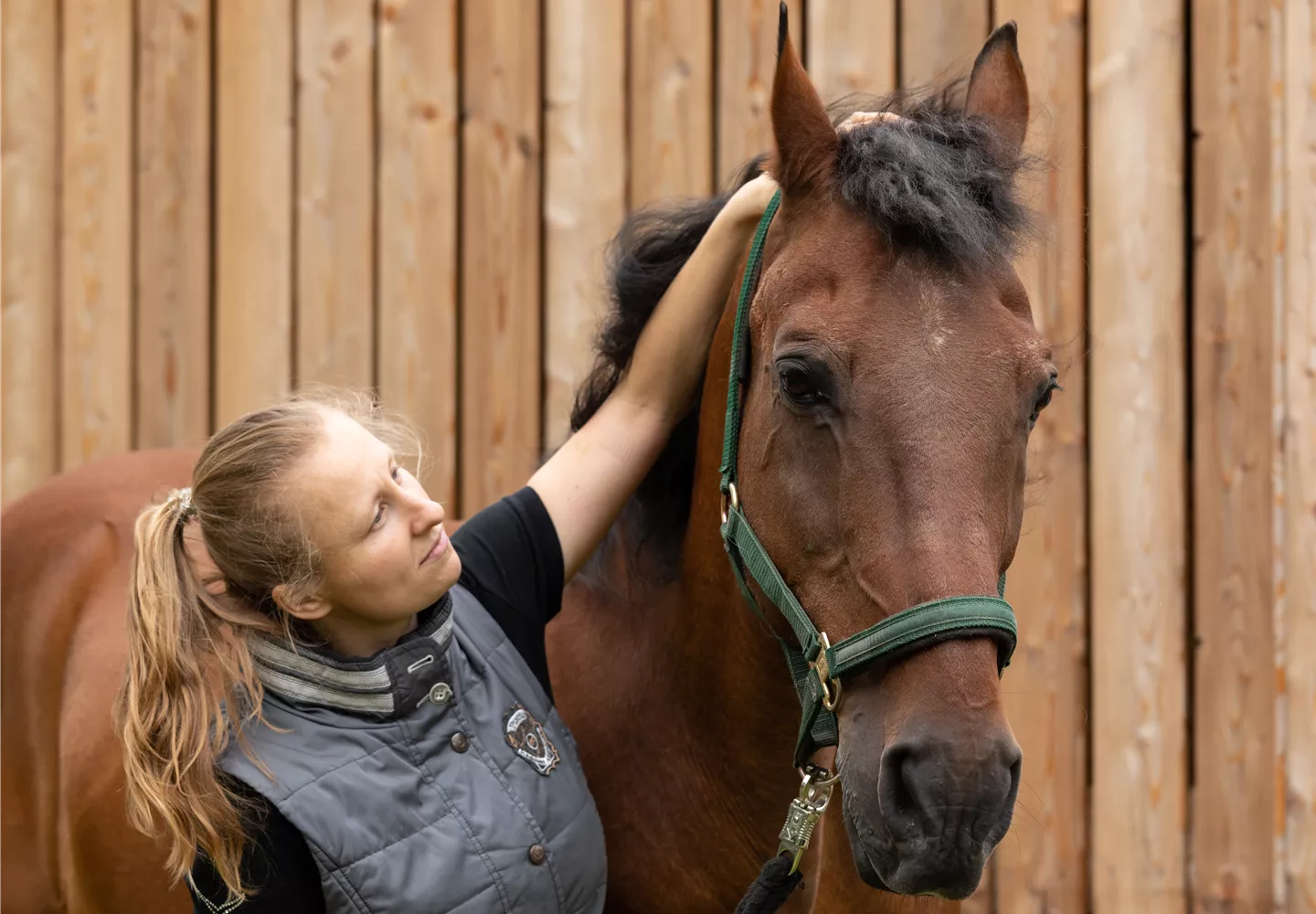 Pferd mit Reiterin