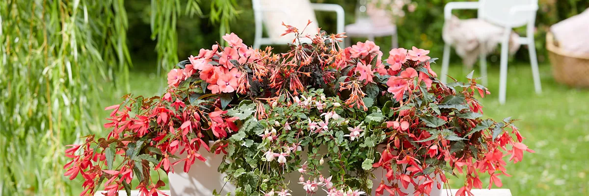 IM TREND: BALKON!