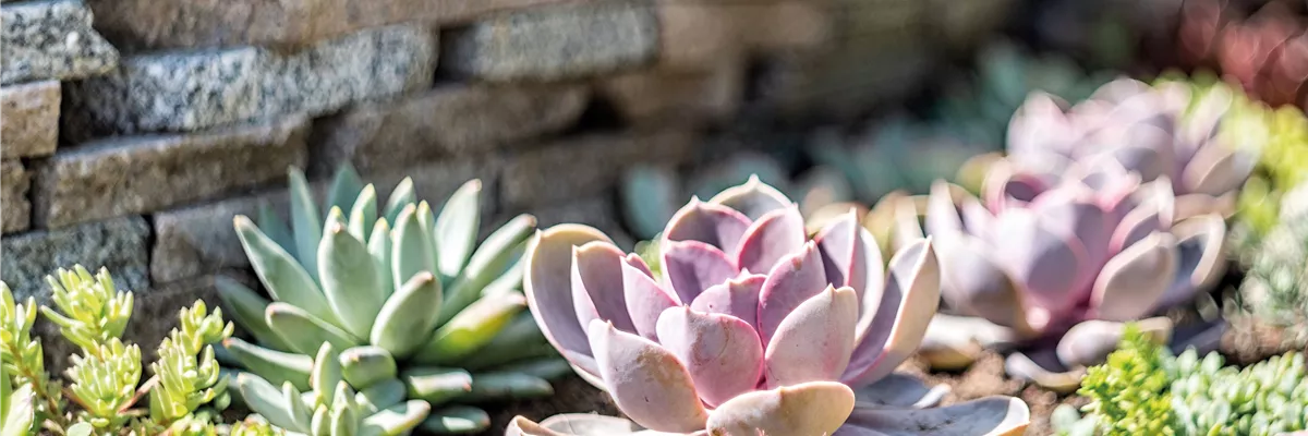 PFLEGELEICHT & ZEITLOS SCHöN! 