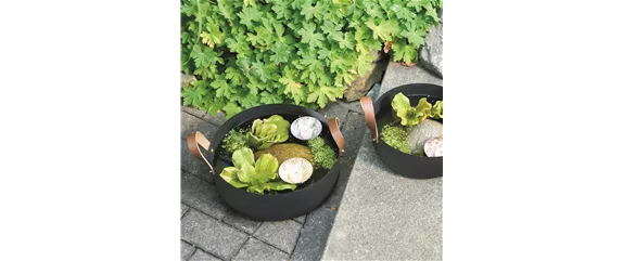 FASZINATION WASSERGARTEN!