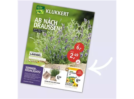 Aktuelle Beilage