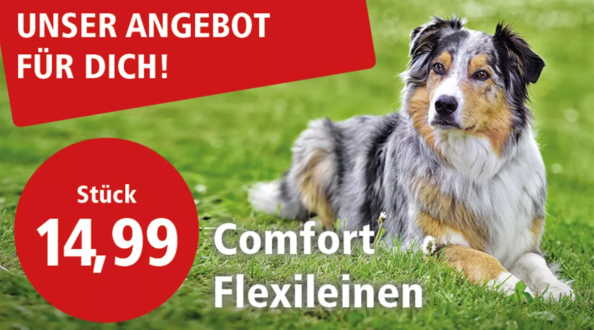 ZOO_Comfort_Flexileinen_Juli25.jpg