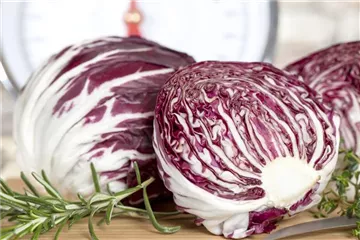 HERBSTSALATE