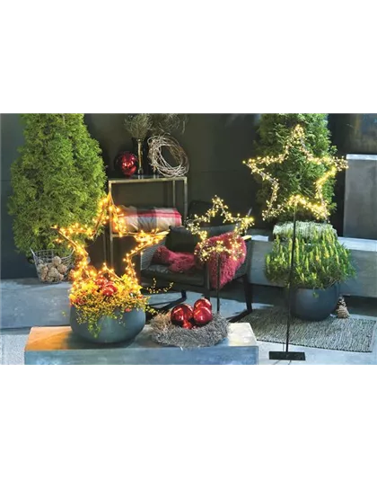 LICHTBLICKE IM WINTER-GARTEN!
