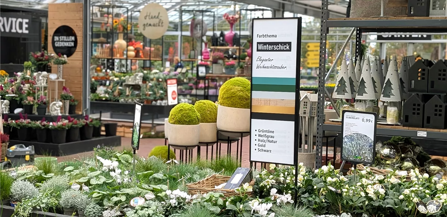 Riesige Auswahl - Pflanzen für drinnen & draußen