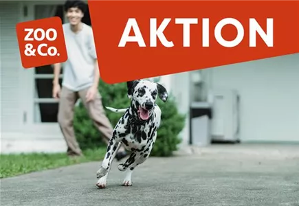 Neueröffnung 27. - 29.11.2025