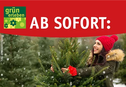 Weihnachtsbaumverkauf