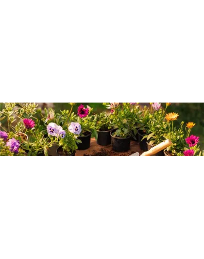 Buch des Monats: Januar!